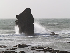 Wave Prints: Coastal rock formation in rough sea, Thurlestone Rock, Thurlestone Bay, Devon, England