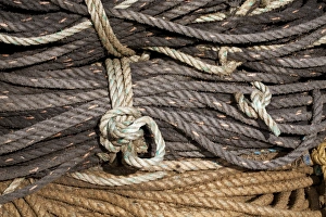 Details Prints: Coils of rope for lobster pots on quayside, Aberystwyth, Ceredigion, Wales, January