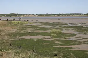 Colne Estuary Essex viewed from Geedon bay Hide at Fingringhoe Wick Nature Reserve