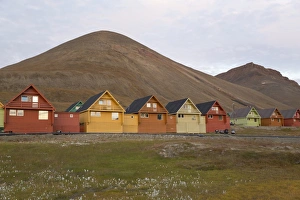 Housing Prints: Colourful houses in town, worlds most northerly town