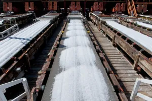 Mexican Prints: Commercial salt production, salt on conveyor belts, Exportadora de Sal (ESSA) saltworks