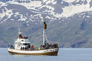 Ship Prints: Commercial whalewatching boat at sea, Skjalfandi Bay, Iceland, July