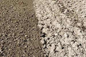 Comparison Prints: Comparison of cultivator prepared and not cultivated seedbeds