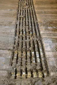 Slat Prints: Concrete slats in cattle yard, to collect slurry i underground pit, England, november