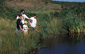 Educational Prints: Conservation - Education / Family pond dipping, looking for invertebrates