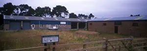 Conservation - Reserves - Braandon Artemisia Reserve - Suffolk Wildlife Trust