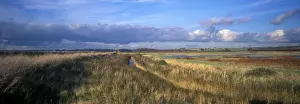 Conservation - Reserves - General view of Trimley Marsh - Suffolk Wildlife Trust