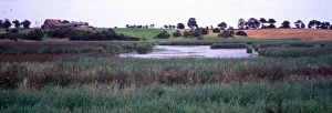 Conservation - Reserves - Hen Reedbeds, Suffolk Willdlife Trust