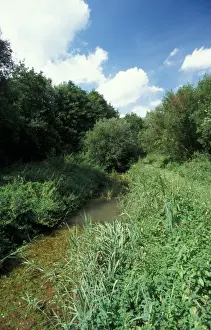 Conservation - Reserves - Little Ouse River bordering Thelnetham Fen, Suffolk Wildlife Trust