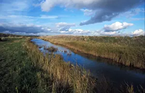 Conservation - Reserves - Trimley Marsh - Suffolk Wildlife Trust