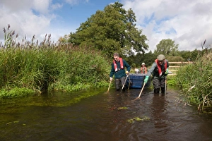 Conservation workers netting river during survey, River Wensum, Norfolk, England, september