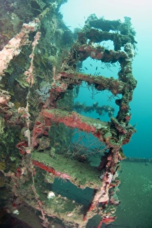 Ship Prints: Coral encrusted on ladder on shipwreck