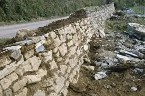 Stones Prints: Cornish Hedge, construction of earth bank faced with stones, Cornwall, England