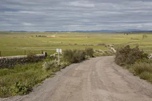 The Cortijo Belen Road is well known to bird watchers for the great variety of species seen there