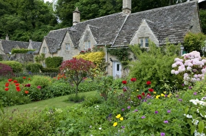 Cottages Prints: Cottage gardens, Bibury, Cotswolds, Gloucestershire, England, June