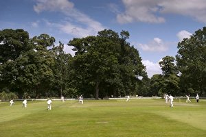 Cricket match being played on village pitch, on summer afternoon, England, July