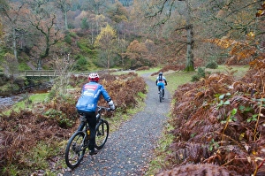 Sports Prints: Cyclists mountainbiking along track on country estate