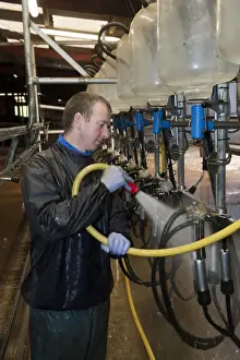 Washes Prints: Dairy farmer cleaning out milking parlour with hose after milking, England, november