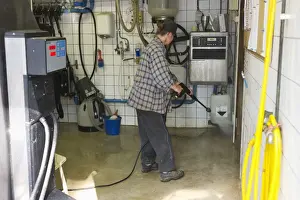 Jobs Prints: Dairy farmer cleaning milking parlour with pressure washer after morning milking