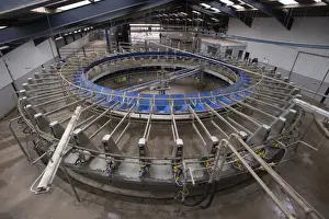 Dairy farming, Alpha Laval 50 point rotary parlour, Lancashire, England, April