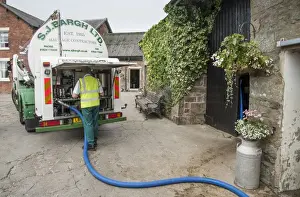 Vehicle Prints: Dairy farming, bulk milk tanker collecting milk from farm