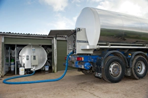 Lorries Prints: Dairy farming, milk being collected off farm in tanker, England, november
