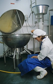Products Prints: Dairy farming, worker filtering milk in parlour