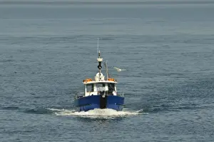 Holidays Prints: The Dale Princess boat approaching island to pick up day-trippers and return them to mainland