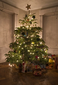 Christmas Prints: Decorated Christmas Tree, Chipping, Lancashire, England, December