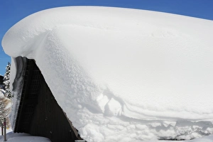 Roofs Prints: Deep snow on chalet roof, Davos, Graubunden, Swiss Alps, Switzerland, january