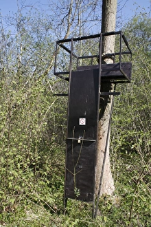 Seats Prints: Deer shooting platform in ancient coppiced woodland