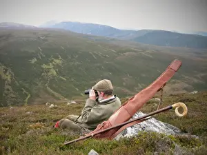 Moor Land Prints: Deer stalker spying for Red Deer (Cervus (Cervus elaphus), deer management on moorland