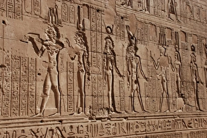 Carving Prints: Defaced reliefs, Passage of Victory, Temple of Horus, Edfu, Egypt, january