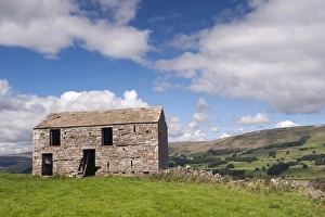 Derelict stone barn in farmland, Wensleydale, Yorkshire Dales N. P. North Yorkshire, England, August
