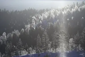 Sun Light Prints: Diamond Dust, meteorological phenomenon caused by ground-level cloud composed of ice crystals