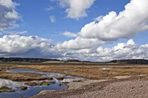 Shingle Prints: Dingle Marshes jointly owned by the Suffolk Wildlife Trust and the RSPB