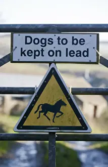 Pembrokeshire Prints: Dogs to be kept on lead and Wild horses or ponies warning signs on farm gate
