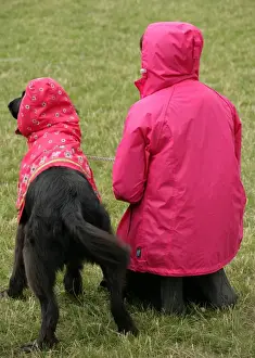 Pink Prints: Domestic Dog, adult, with owner in pink coat during dog most like their owner class at fun dog show