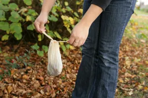 Bags Prints: Domestic Dog, muck in plastic bag