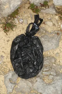 Polluted Prints: Domestic Dog, muck in plastic waste bag