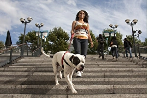 Woman Prints: Domestic Dog, Old Tyme Bulldog