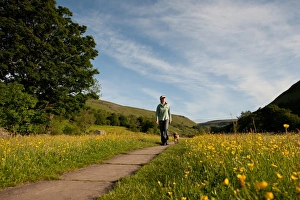 Muker Prints: Domestic Dog, walked by owner on path in wildflower meadow