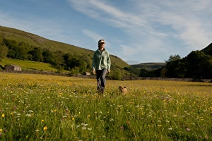 Muker Prints: Domestic Dog, walked by owner in wildflower meadow, Muker, Swaledale, Yorkshire Dales N. P