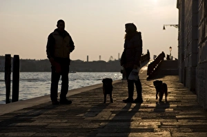 Woman Prints: Domestic Dog, woman owner taking two dogs for walk