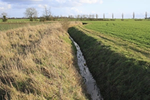 Drainage Prints: Drainage ditch and field headlands in arable farmland, Bacton, Suffolk, England, february