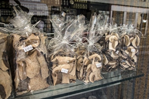 Wild Prints: Dried wild mushrooms for sale in an Italian shop