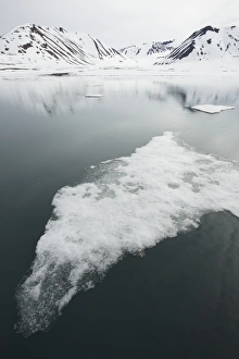 North Polar Prints: Drift ice near coastline, Woodfjord, Spitsbergen, Svalbard, June