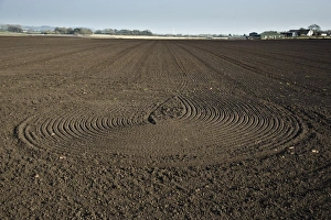 Drill Prints: Drilling patterns in cultivated field, Pilling, Lancashire, England, march