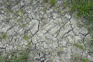 Climate Prints: Drought, cracked soil at edge of arable field, Sweden, May