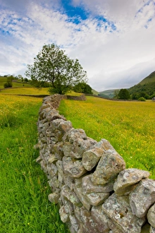 Muker Prints: Drystone stone at edge of wildflower meadows